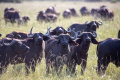 2019-09-Tansania-OK-2909