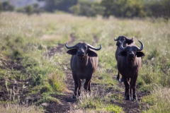 2019-09-Tansania-OK-2912