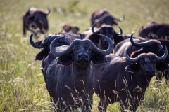 2019-09-Tansania-OK-2915