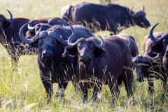 2019-09-Tansania-OK-2920