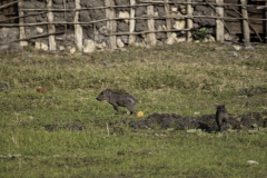 2019-09-Tansania-OK-2930