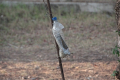 2019-09-Tansania-OK-2931