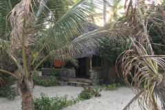 2019-09-Tansania-OK-2575