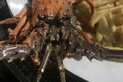 2019-09-Tansania-OK-2603