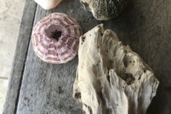 2019-09-Tansania-OK-2627