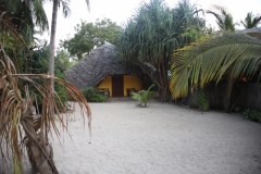 2019-09-Tansania-OK-2634