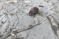 2019-09-Tansania-OK-2645