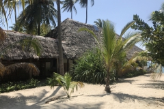 2019-09-Tansania-OK-2848