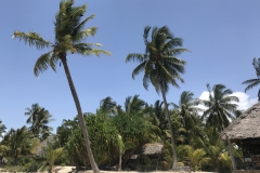 2019-09-Tansania-OK-2856