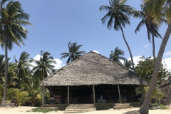 2019-09-Tansania-OK-2857
