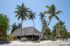 2019-09-Tansania-OK-2867
