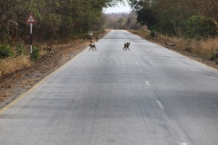 2019-09-Tansania-OK-0756