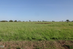 Tansania-190201-09-03-39