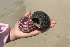 2019-09-Tansania-OK-2587