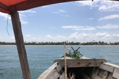 2019-09-Tansania-OK-2597