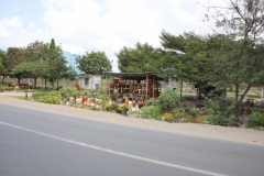 2019-09-Tansania-OK-2132