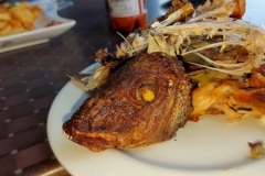 2019-09-Tansania-OK-2141