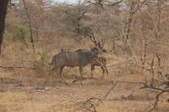 2019-09-Tansania-OK-0904