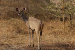 2019-09-Tansania-OK-0905