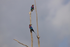 2019-09-Tansania-OK-0910