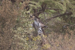 2019-09-Tansania-OK-0912
