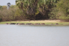 2019-09-Tansania-OK-0938