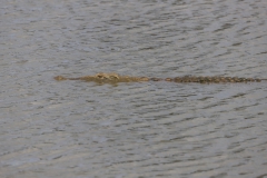 2019-09-Tansania-OK-0939