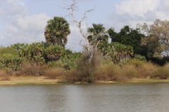 2019-09-Tansania-OK-0940