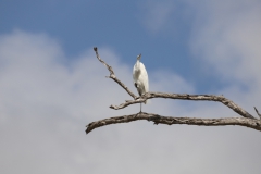 2019-09-Tansania-OK-0943