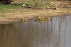 2019-09-Tansania-OK-0945