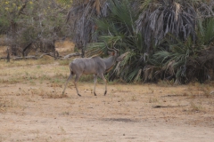 2019-09-Tansania-OK-0951