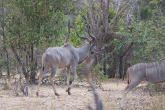 2019-09-Tansania-OK-0955