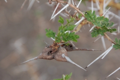 2019-09-Tansania-OK-1667