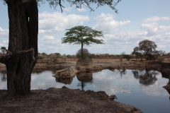 2019-09-Tansania-OK-1672