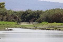 2019-09-Tansania-OK-1698