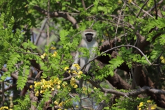 2019-09-Tansania-OK-1704