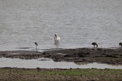 2019-09-Tansania-OK-1709