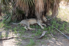 2019-09-Tansania-OK-1718