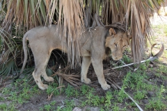 2019-09-Tansania-OK-1720