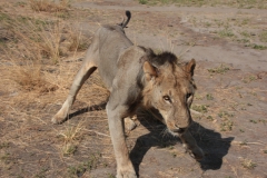2019-09-Tansania-OK-1727