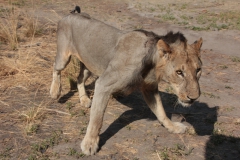 2019-09-Tansania-OK-1728