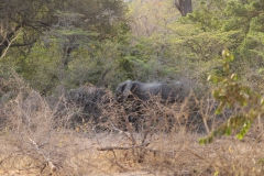 2019-09-Tansania-OK-1740