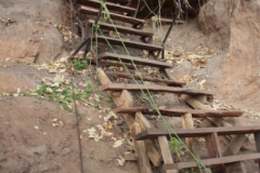 2019-09-Tansania-OK-1169