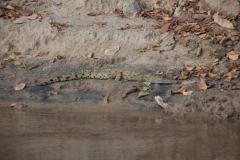 2019-09-Tansania-OK-1171