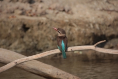 2019-09-Tansania-OK-1172