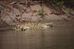 2019-09-Tansania-OK-1177