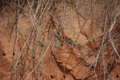 2019-09-Tansania-OK-1188