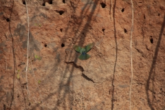 2019-09-Tansania-OK-1189