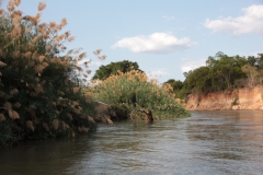 2019-09-Tansania-OK-1197