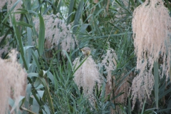 2019-09-Tansania-OK-1203